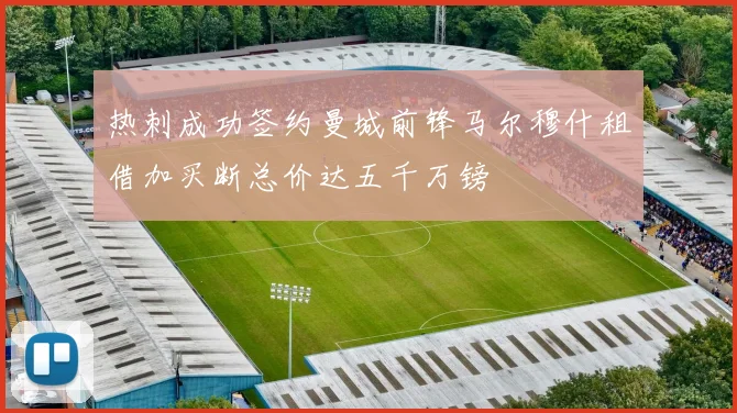 热刺成功签约曼城前锋马尔穆什租借加买断总价达五千万镑